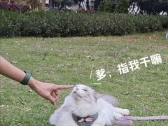 -二沙岛艺术公园