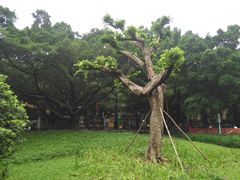 -垂虹公园