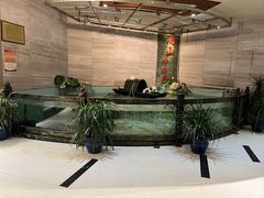 -楚鱼王·河鲜·湖北菜(华农店)