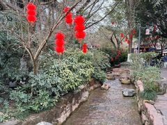 -黄龙溪古镇