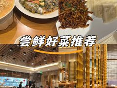 -乐忻皇朝(上海中心大厦店)