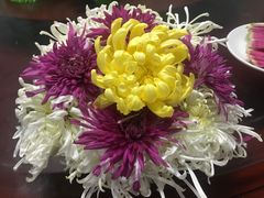 涮菊花-华强阁菊花宴自助火锅店