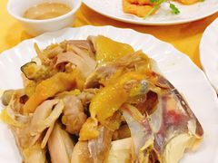 盐焗手撕鸡-巫记鸡饭店