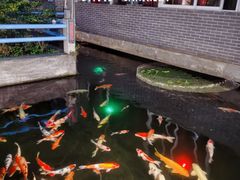 -桃园盛宴·岭南粤菜·手工茶点(南庄店)