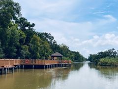 -大湾区中央湿地公园