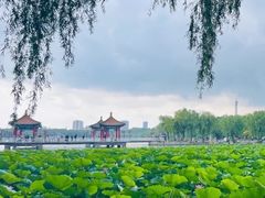 -长春市南湖公园