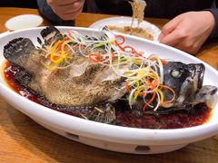 清蒸大龙胆-必点海鲜·鲅鱼水饺(鞍山西道店)