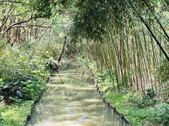 -同里国家湿地公园
