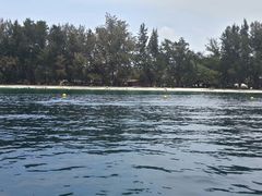 android_upload_pic-东姑阿都拉曼海洋公园