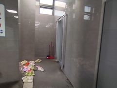 -同济大学四平路校区游泳馆