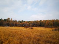 -塞罕坝国家级自然保护区