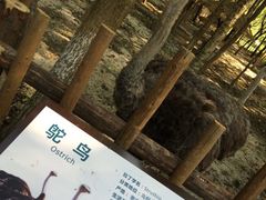 iphone_upload_pic-昆山城市生态森林公园