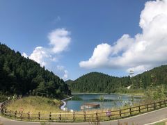 -武陵山森林公园