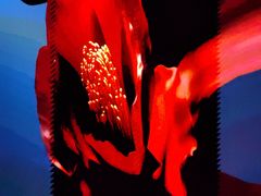 -交通银行前滩31演艺中心