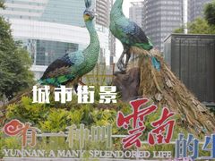 -南屏步行街