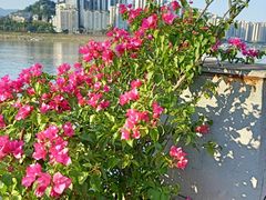 -小八仙·宴(三峡茶庄店)