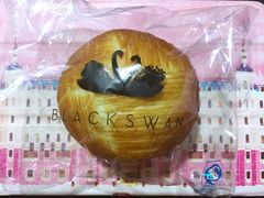 -BLACKSWAN黑天鹅(环球店)