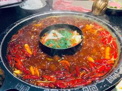 -渝大狮毛肚老火锅(普陀店)