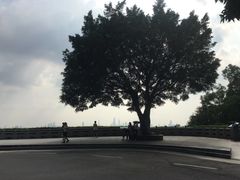-火炉山森林公园