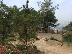 -铁山坪森林公园