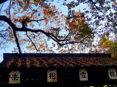 -塔川景区