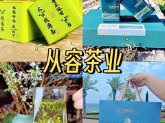 -日照灯塔风景区