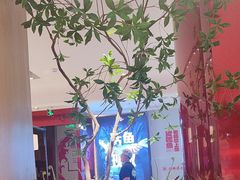 -老板恋上鱼(恒隆广场店)