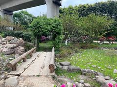 -秀丽东方