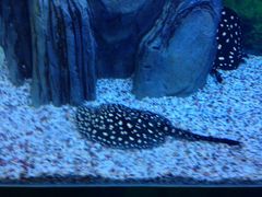 iphone_upload_pic-常州海昌海洋探索馆