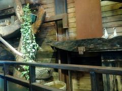 -D STAR COFFEE帝星咖啡