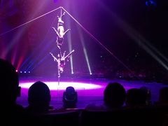 -珠海横琴长隆《卡卡虎奇遇记》