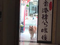 -肆兮眼镜·蔡司·徕卡战略合作店(大坪店)