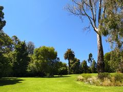 -墨尔本皇家植物园