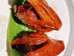 干锅乳鸽-汤城小厨•粤菜•靓汤(苏州街店)