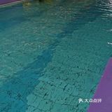 亲子游泳大比拼