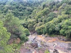 -广州白江湖森林公园