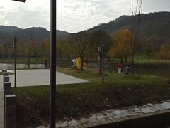-千年银杏谷文化旅游区