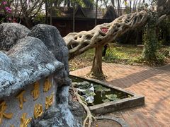 -独树成林