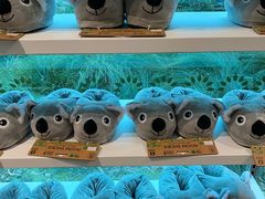 -墨尔本皇家植物园