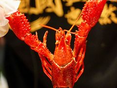 -沪小胖小龙虾(淮海中路旗舰店)