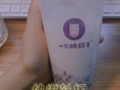 -一只酸奶牛(曲江龙湖星悦荟店)