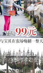 -前小桔亲子创意农场·草莓采摘·露营烧烤