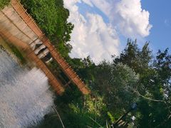 -广州白江湖森林公园