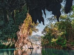 -长寿村