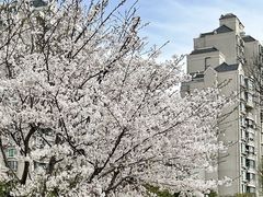 -大宁公园