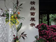 -汇龙潭