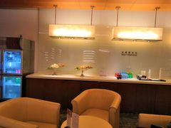 -虹桥机场国航贵宾室v8