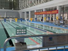 -奥体中心游泳馆