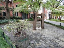 -上海瑞金洲际酒店·宴会厅