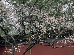 -柳莺湖上·湖景餐厅·江南菜(西湖店)